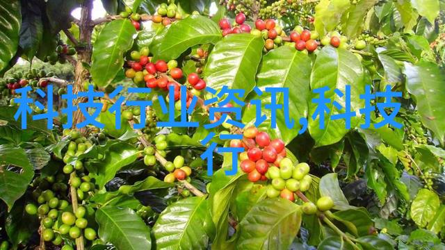 超声波清洗设备未来食品加工的新选择