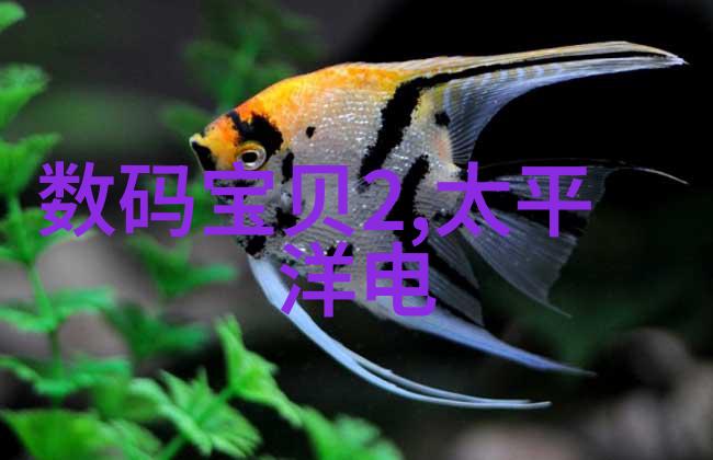 绿色环保未来装修设计公司的可持续发展方向