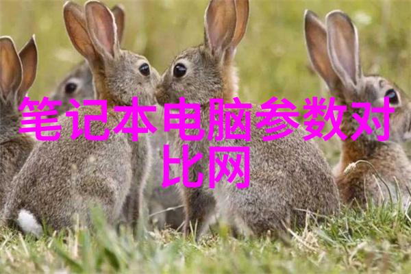 阳台厨房装修效果图融合生活与美食的空间设计