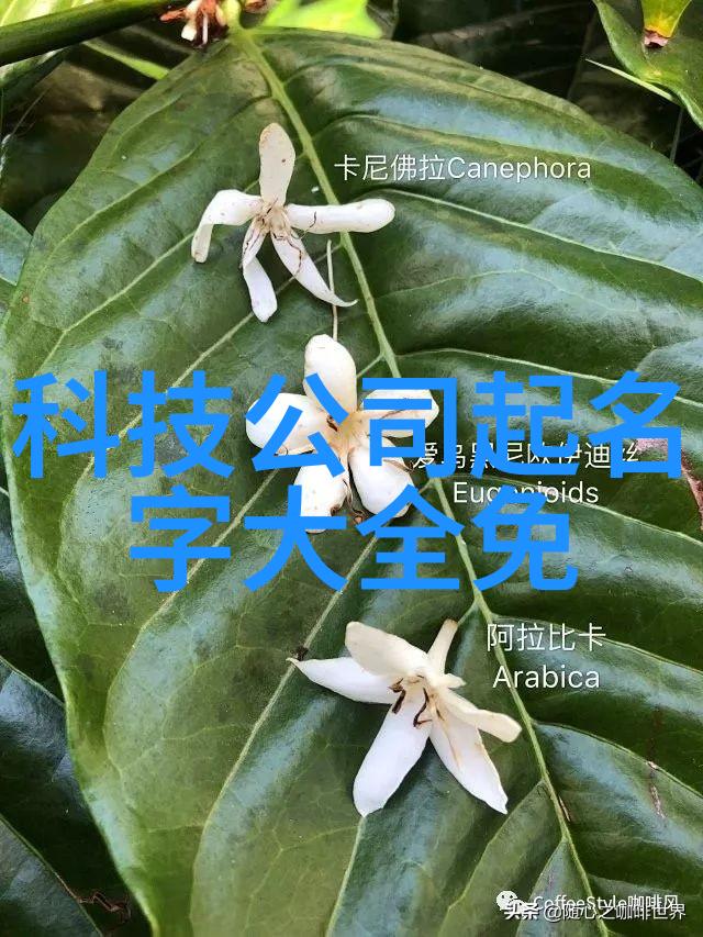 中国石化出版社-燃烧青春中国石化出版社50年出版回顾