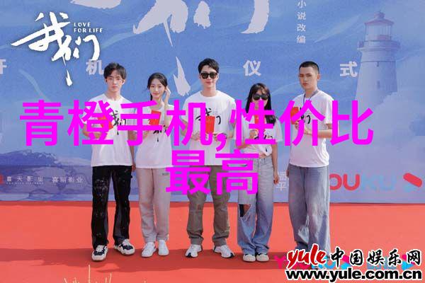 包衣机械探索现代科技与传统工艺的完美融合