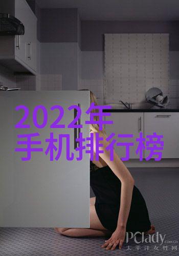 高压灭菌锅厂家排行榜揭秘哪些品牌能让你的食物煮得最干净