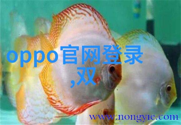 医生办公室设计要点总结