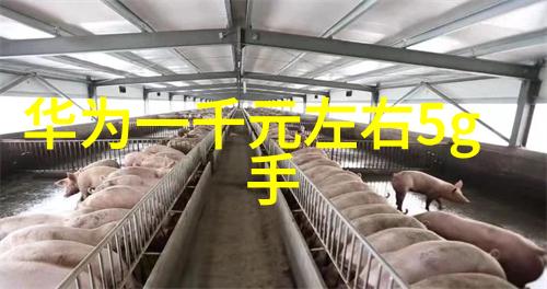 1t电子地秤电子地磅