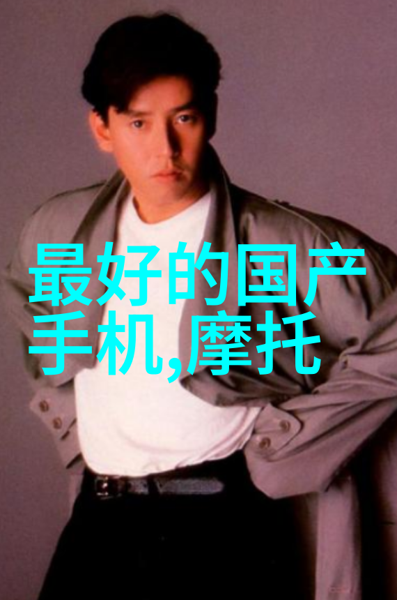燃气蒸汽发生器系统概述