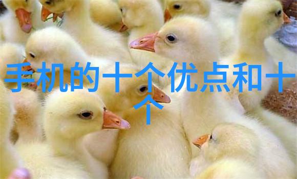 丝网波纹填料型号规格-精细织造丝网波纹填料的选择与应用