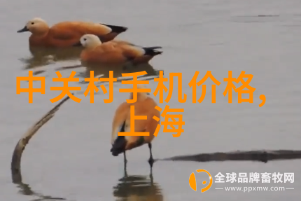 机括心肺膏药机械的奏鸣