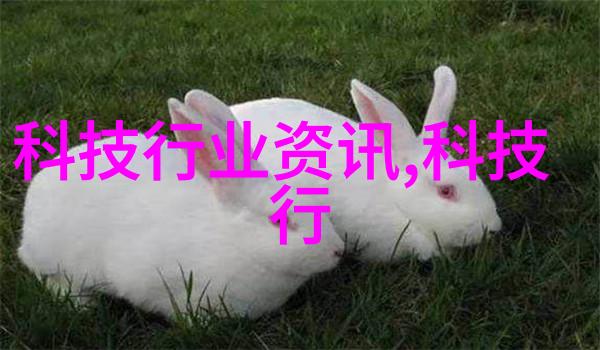 连续式带干燥技术与应用概述