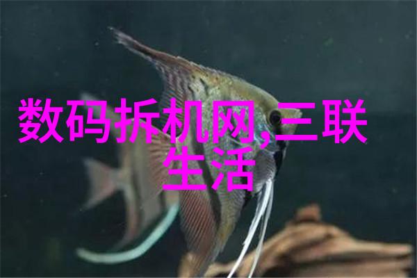 现代修罗超越凡人的追求与挑战