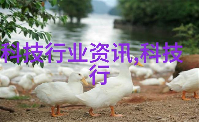 不锈钢规整波纹填料价格咱们来聊聊这玩意儿