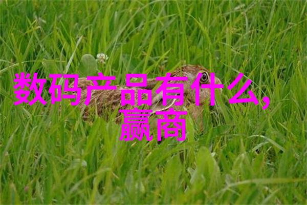 丝网填料与波纹填料的优缺点美容材料选择指南