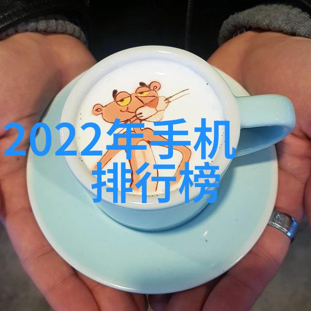 水位显示仪守护河岸的智慧守望者