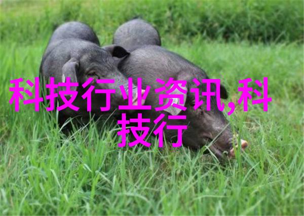 家居装修-梦幻大厅房子大厅装修图片大全