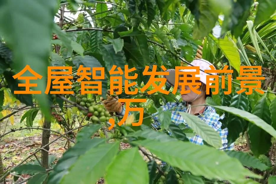 回收电子垃圾对环境有何益处