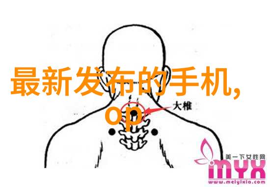 主题我是怎么学会运用移动式泥石分离机的