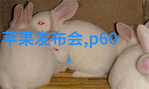 微波能量如何打破细菌的防御壁