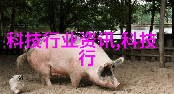 重庆装修公司排名前十从豪门到民宿颠覆你的装修梦想