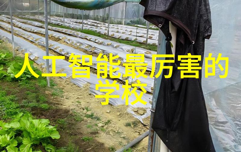 空气中的碳魔术师高效分离二氧化碳的先进技术