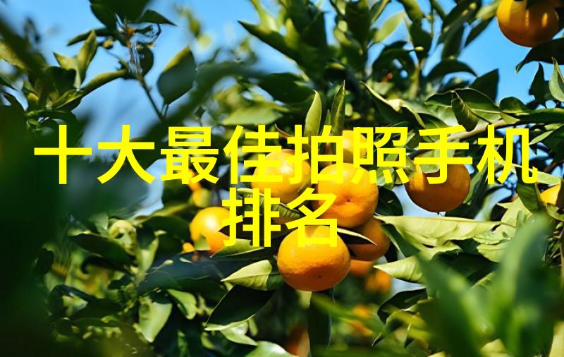 PE管管材批发厂家专业供应高质量塑料管材解决方案