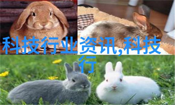 信息之海中电院的科研奇迹