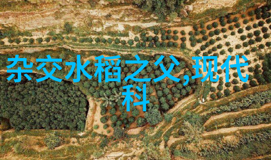 化学分析仪器在进行高精度化学成分定量测量中扮演了怎样的角色