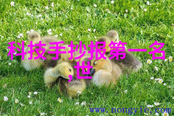 预算有限怎样在不牺牲品质的情况下完美完成6平米卫浴室的改造工作