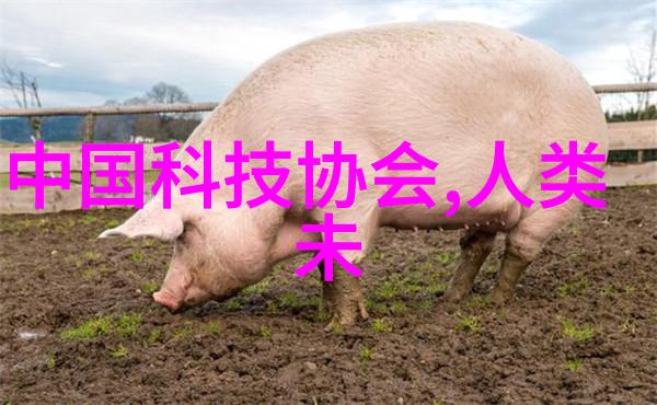 实验室我的电渗析设备老朋友了