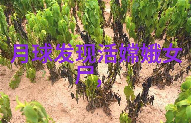 中国机械加工网 - 机工新动力中国机械加工网如何推动行业创新与发展