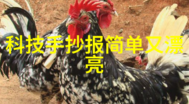 从原料到产品供应链优化在中国化工业中的应用研究