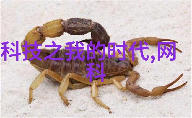 简体中文 简单小型污水处理设备-家用厨余垃圾处理系统