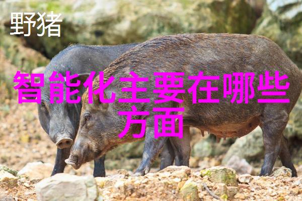 什么是当下流行的卫生间风格以及它们各自的特点是什么