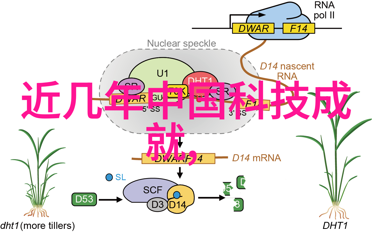 真空冷冻干燥设备我来告诉你它是如何工作的