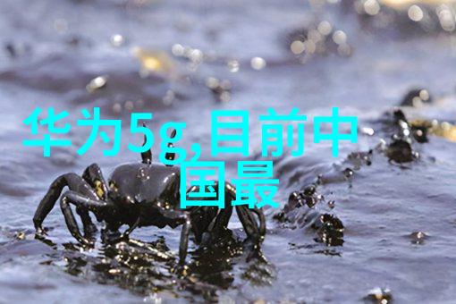 冬季暖意传递如何高效保温让家居更舒适