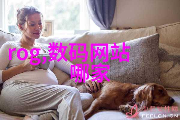 小巧智能的两相电搅拌机厨房新宠物