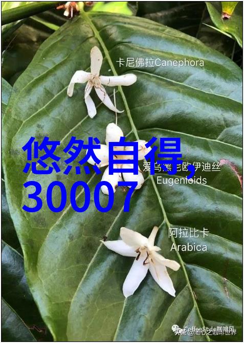 tjh25型高效波纹规整填料重塑建材行业的新标准