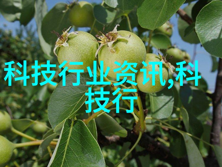 水源之谜揭秘饮用水TDS的安全界限