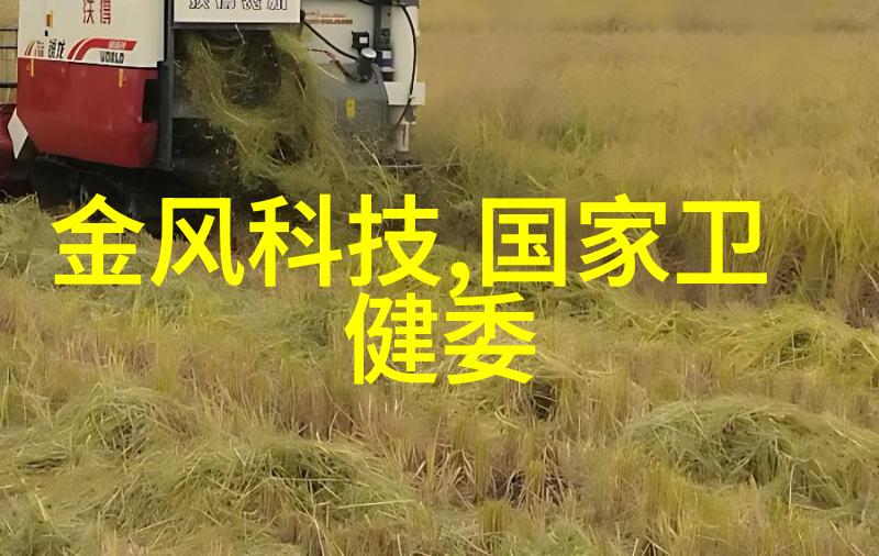 新春佳节回顾上一年的辉煌与展望下一年的风采