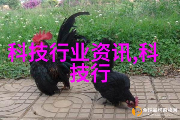 保温离心固液分离机技术高效稳定液体处理设备