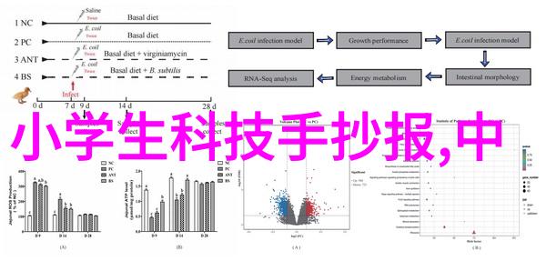我是如何评价tds水质检测笔的有用性