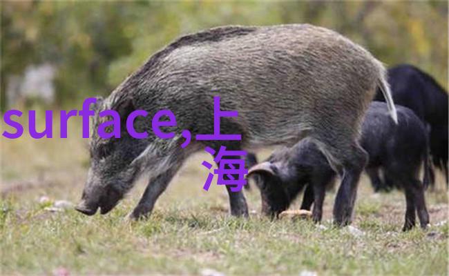 家居美学6米长客厅的温馨空间梦想