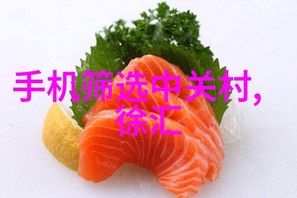 小型化解决大问题简便污水处理设备的应用与未来发展