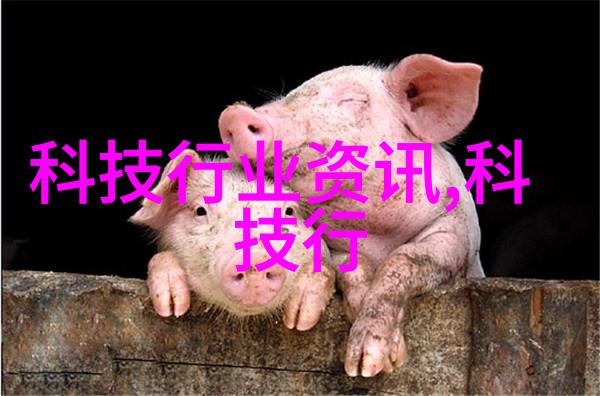 技术与创新-深入解析中国专利查询系统官网一站式服务助力知识产权管理