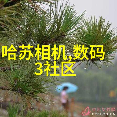 微波炉磁控管侵权案件格兰仕东菱威力子公司被判赔超千万是不是因为烤羊肉串时不小心涉及了技术争议呢