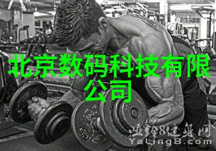 乡村清泉自来水净化的新篇章