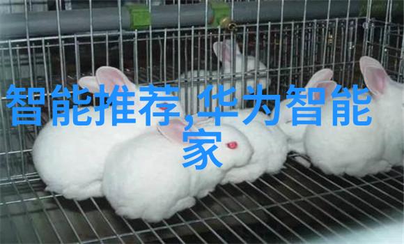 灵感来源于自然如何融入植物元素提升工作氛围