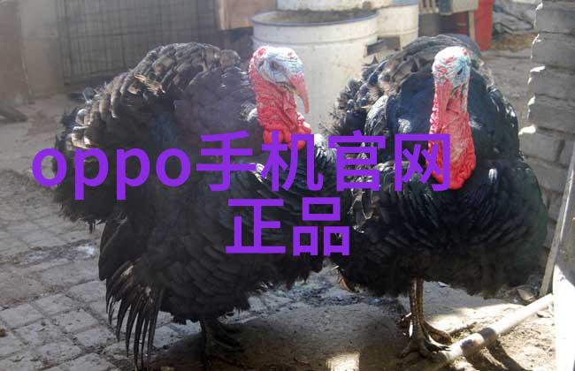 哈希水质检测仪器揭秘那些让你笑到肚子疼的水质测试