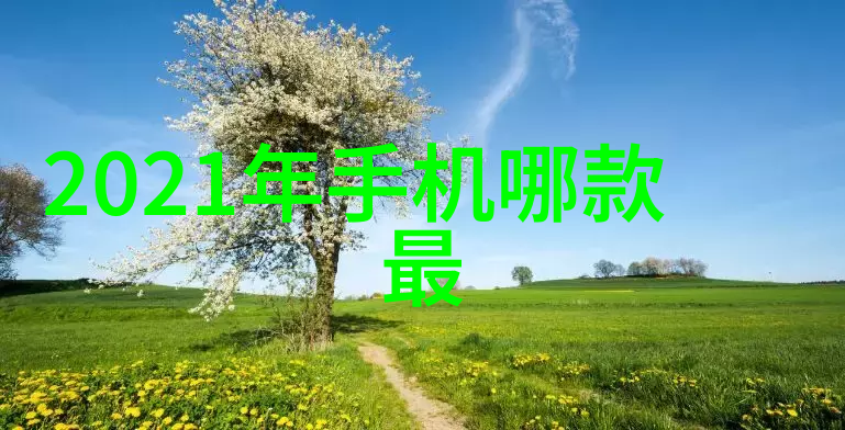 新希望瘫痪男子大脑植入芯片触觉奇迹恢复
