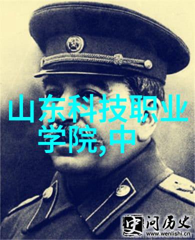 笑声中的秘密替嫁背后的真相