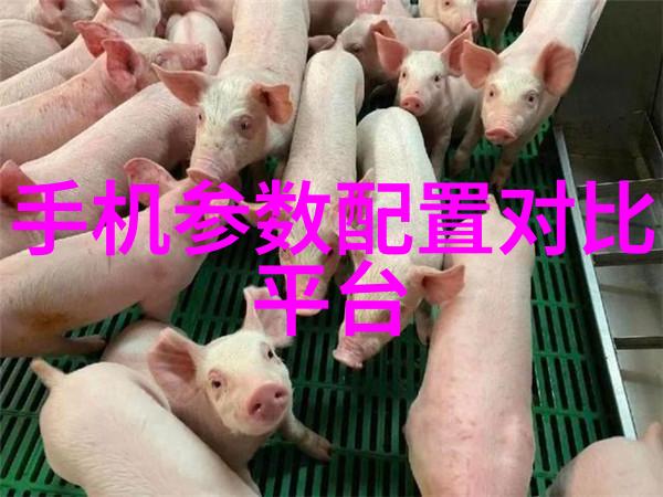 杭州装修设计 - 西湖风情如何在杭州的家中融入传统与现代装修设计