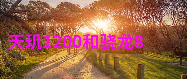 化工洁净室设备探索未来科技的无菌空间